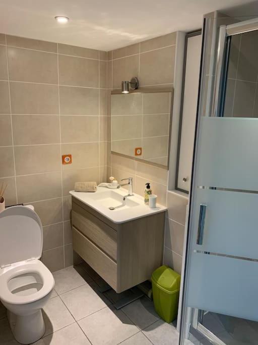 Triplex De Charme Centre Ville ليموج المظهر الخارجي الصورة